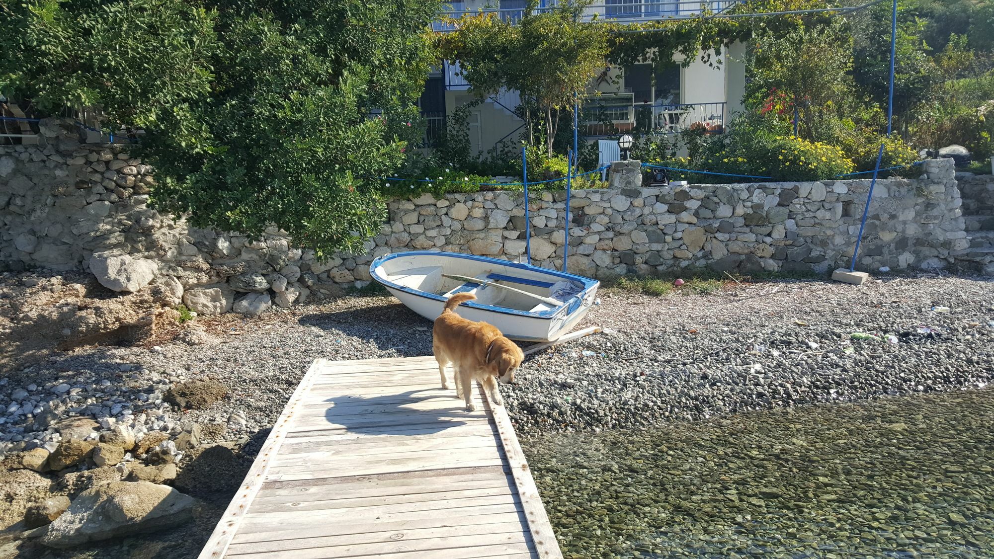 Mavi Akvaryum Otel Selimiye  Esterno foto